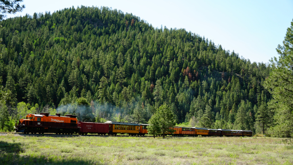 Durango Train passes by Soaring Treetop Adventures